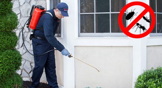 Çatalpınar Bit İlaçlama böcek ilaçlama ve haşere kontrolü — ilaclama-tr.com